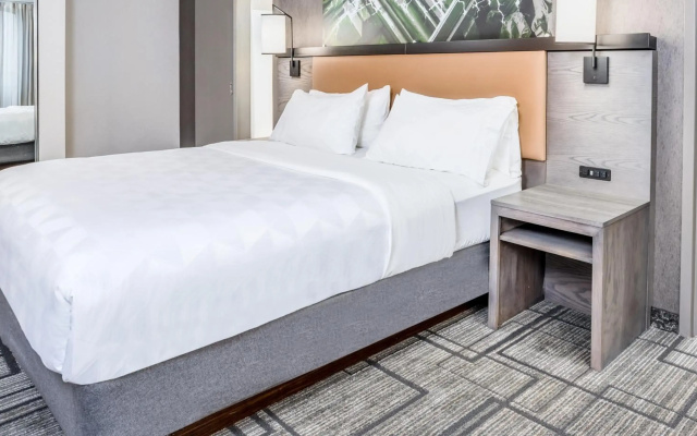 Holiday Inn Lafayette-City Centre by IHG