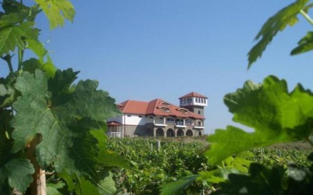 Popova Kula Hotel & Winery