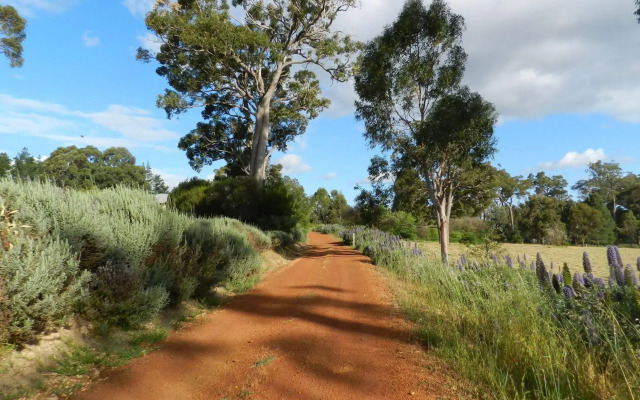 Shambhala Guesthouse