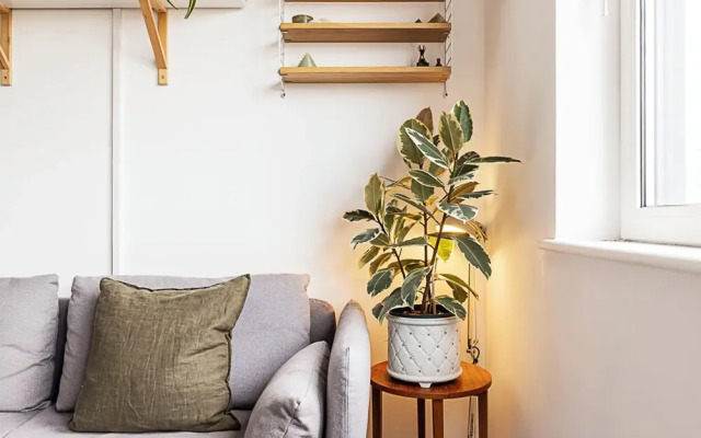 Chic & Modern Dalston Apartment