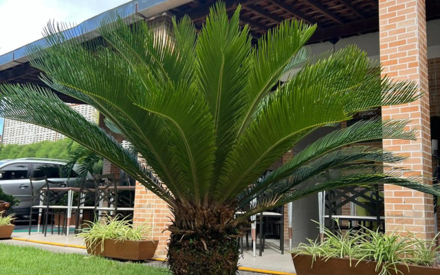 Shalon Olinda - Pousada