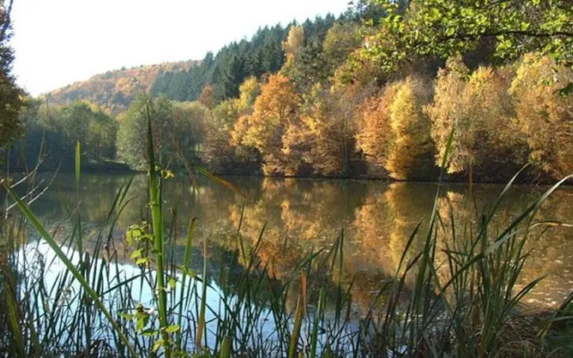 Sporthotel Erbismühle