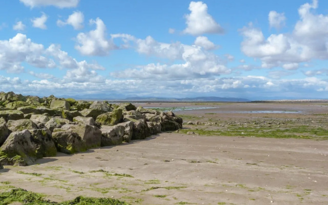 Driftwood