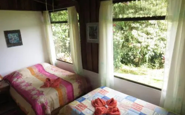 Hotel La Rana De Arenal