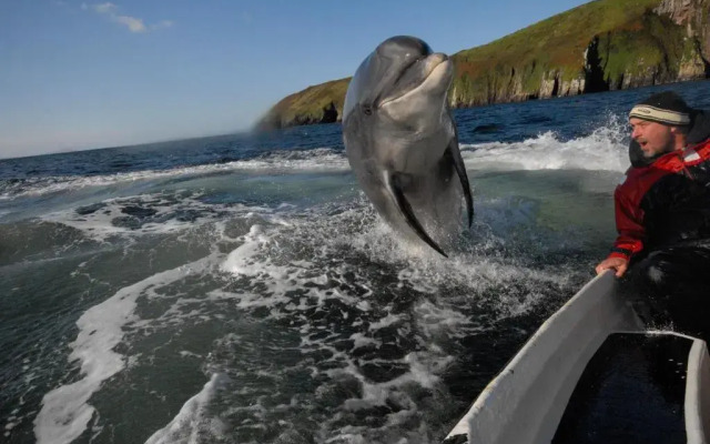 Dingle Bay