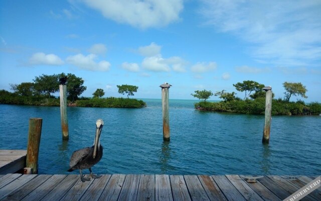 Conch Key Fishing Lodge and Marina