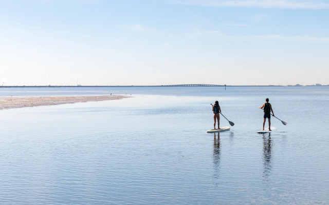 Grand Hyatt Tampa Bay