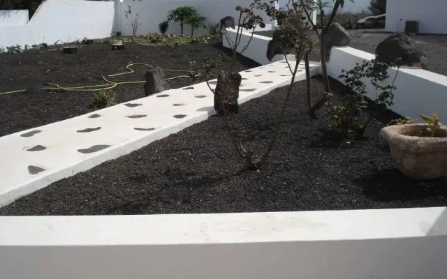 Mamariala