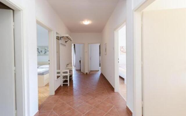 Apartment Branka