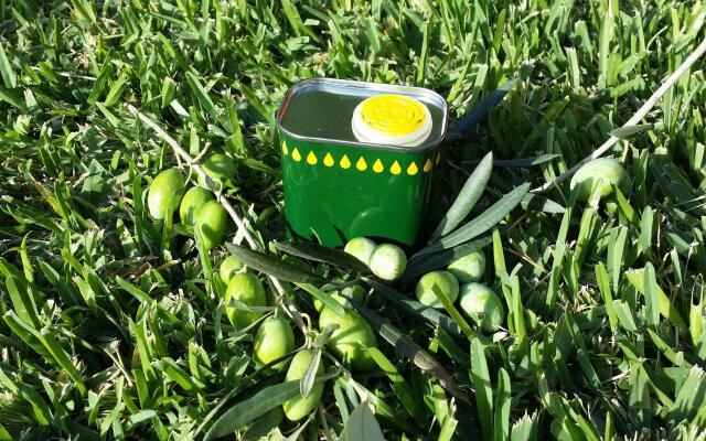 Giardino di Limoni Eco Friendly Villa