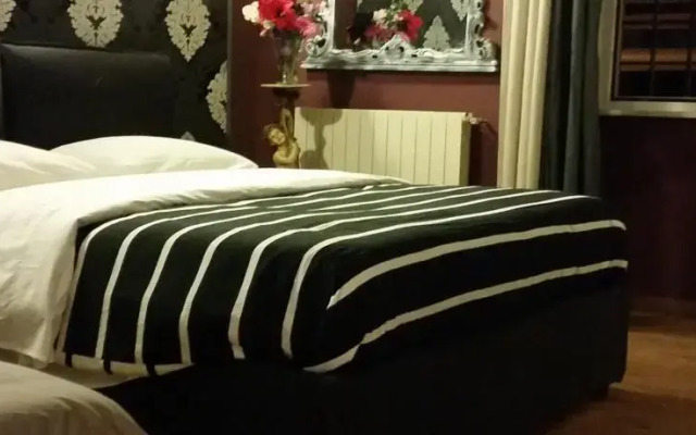 My Sweet Home Colosseum