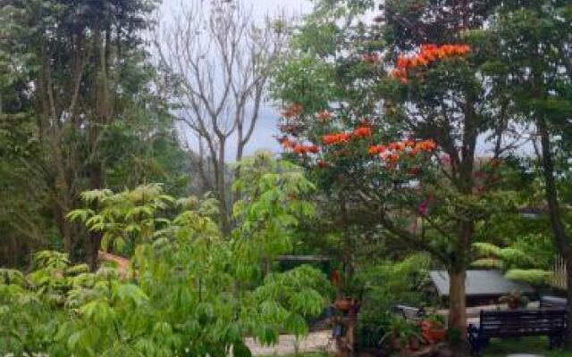 Finca MonteVerde