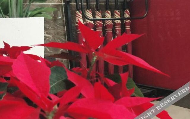 Shankee Hotel (Xujing North City)