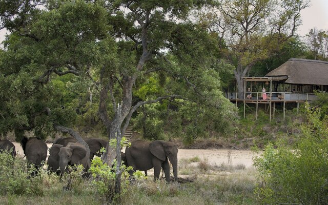 Tanda Tula Safari Camp