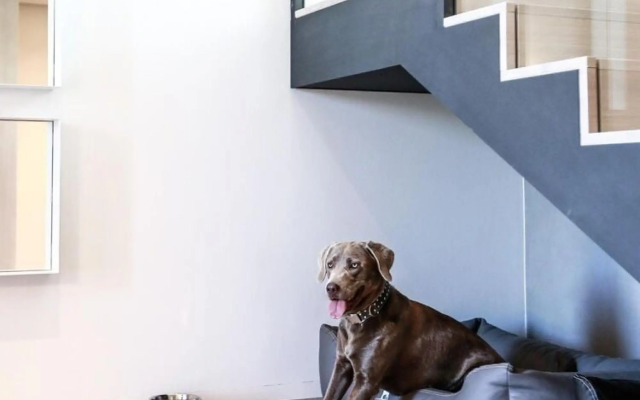 Exclusive country house on Fehmarn