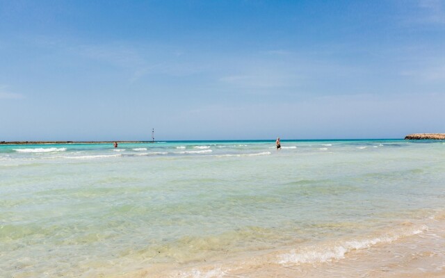 2986 Casa Apollo by Barbarhouse