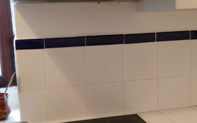 Deluxe Apartment Doña Elvira