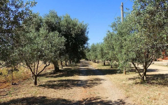 Agriturismo Marongiu