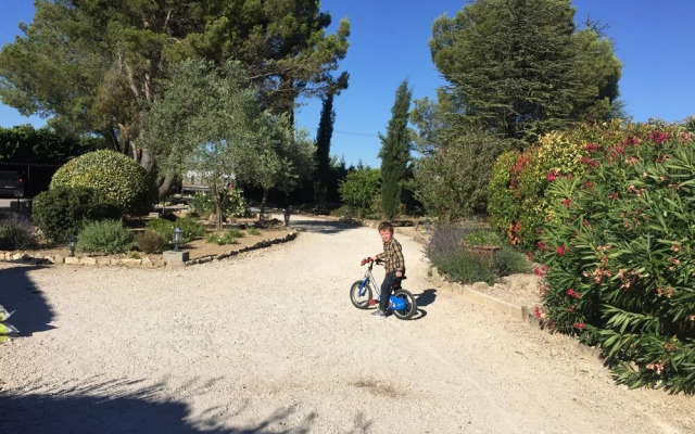 Zocalo Ranch