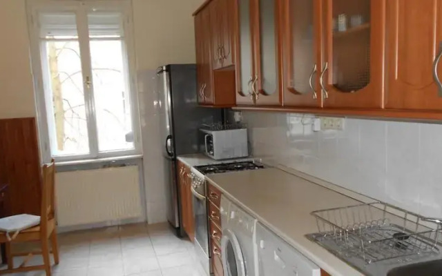 Big and Nice Flat in Budapest