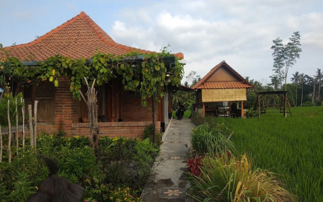 Wana Stay Ubud