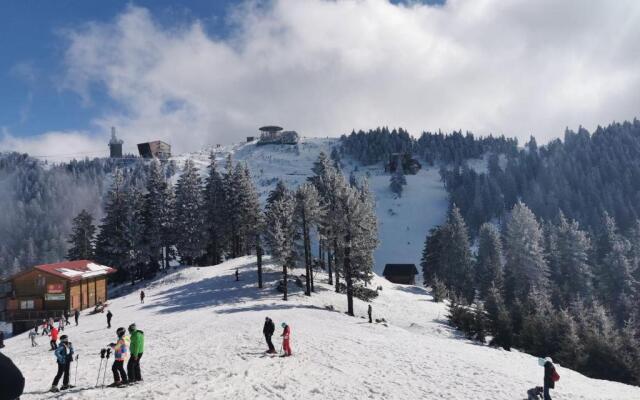 Alpin Resort Apartment 508