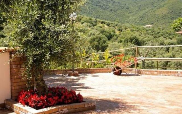 Bed And Breakfast Miglino