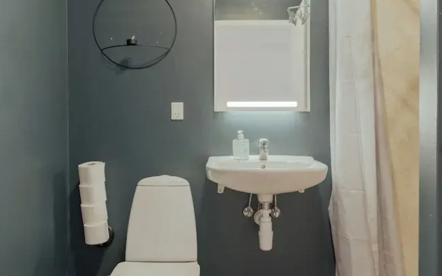 Downtown / Newly Renovated 2 Bedroom Apartment