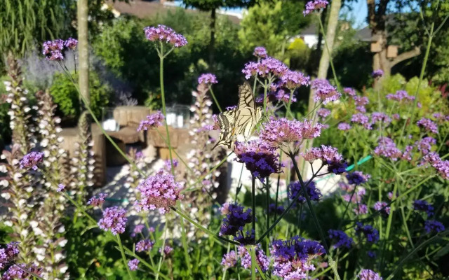 Webergarten