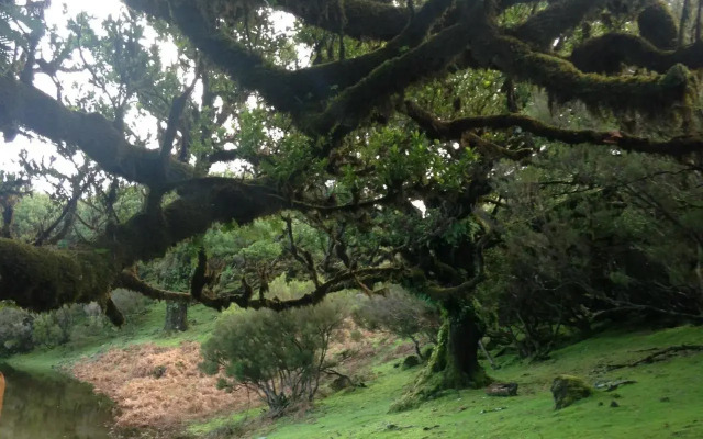 Janela para o Atlântico