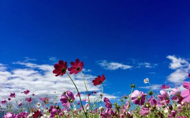 Dali Jianshan Homestay