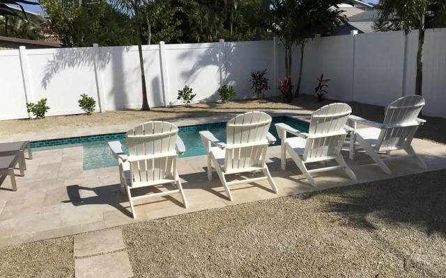 AMI Sand Dollar - 6403 B Holmes