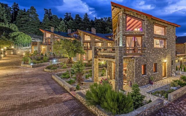 ViP Chalet Livadi Arachova