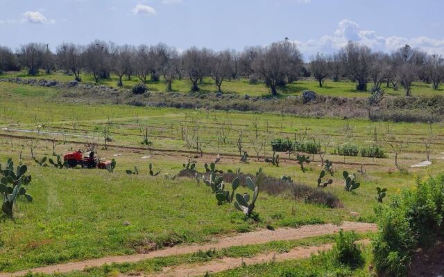 Sofias House Tenuta Sofia