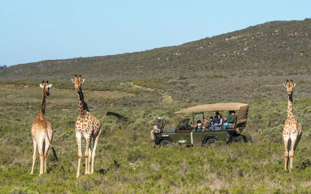 Melozhori Private Game Reserve