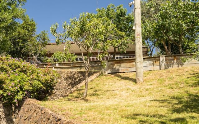 Loquat Hill