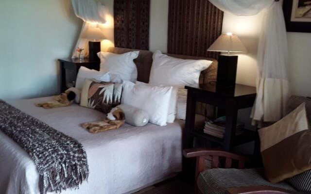 Ambience Inn