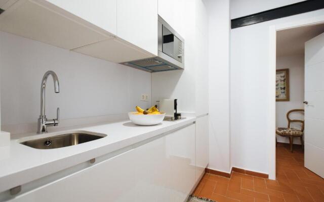 Casa Galera Historic Downtown Apartment in Seville