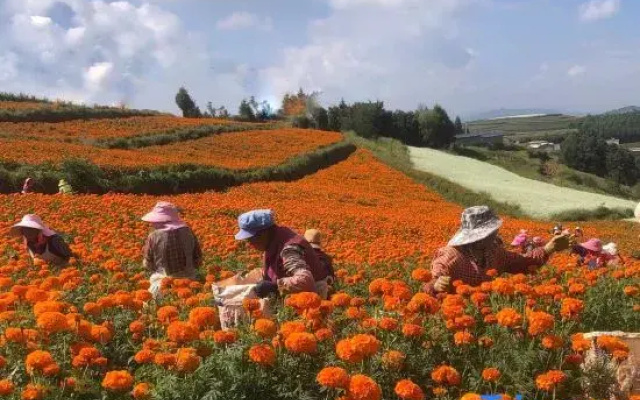 Kunming Hongtu Jiayuan Homestay (Inside Luoxiagou Scenic Area)