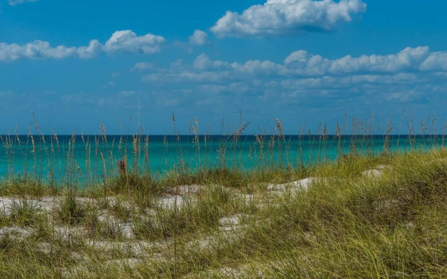 Ocean Reef 1701