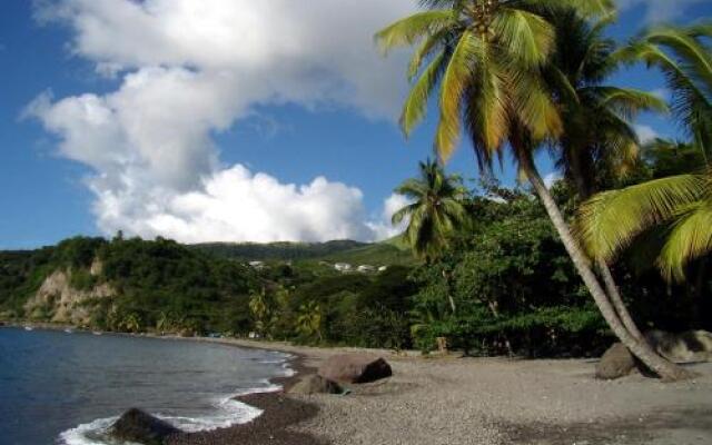 Sunset Bay Club & SeaSide Dive Resort