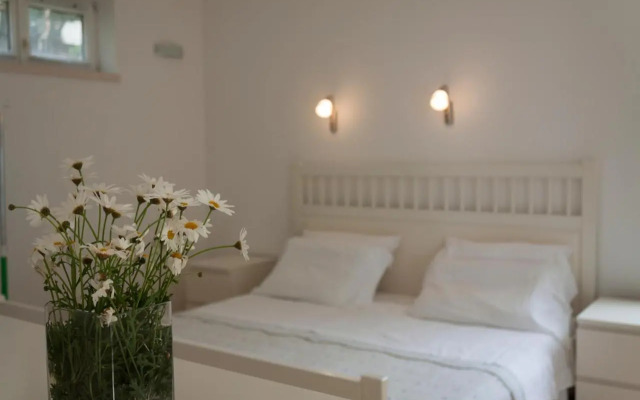 Suncana Apartments Dubrovnik 2