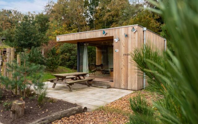 EuroParcs Resort De Wije Werelt 41946