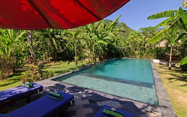 Pazzo Bali