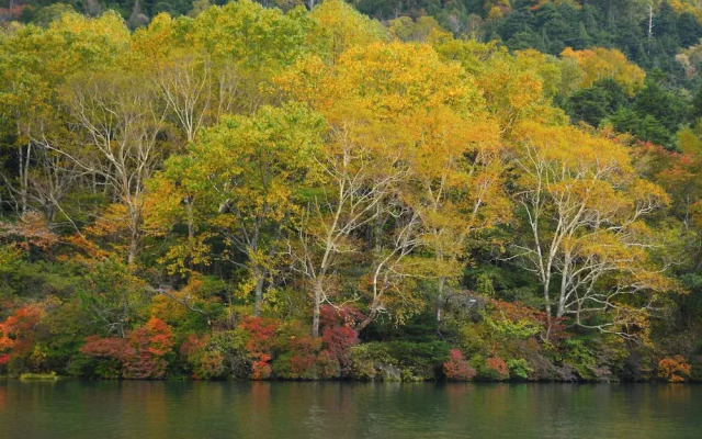 Okunikko Yumoto Onsen Yunomori