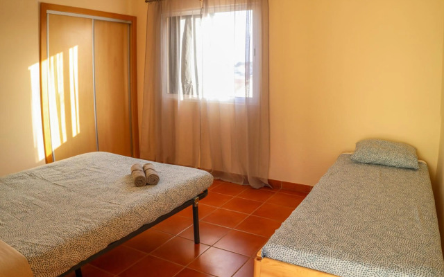 O DRAGOEIRO da Madalena!