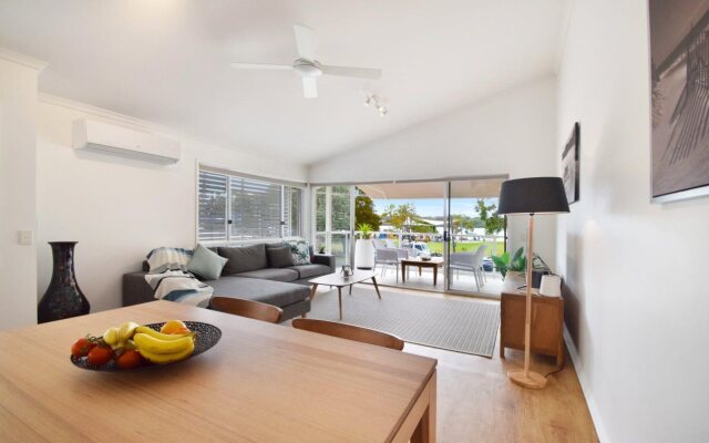 Noosa River Palms