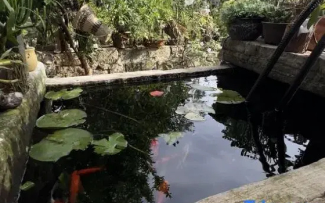Qingyan Yifang Courtyard Homestay
