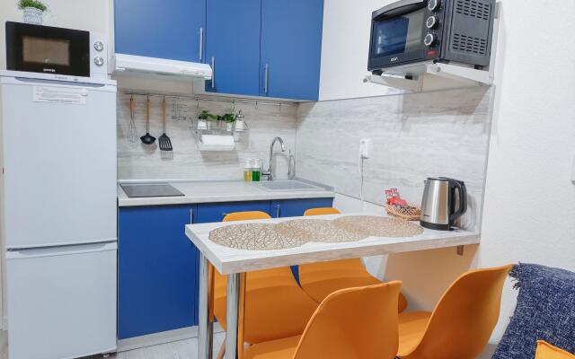 Apartments on the Pulkovo highway