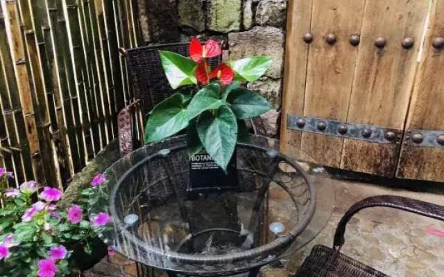 Mountain View Hostel